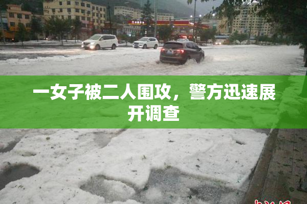 一女子被二人围攻，警方迅速展开调查