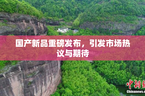 国产新品重磅发布，引发市场热议与期待
