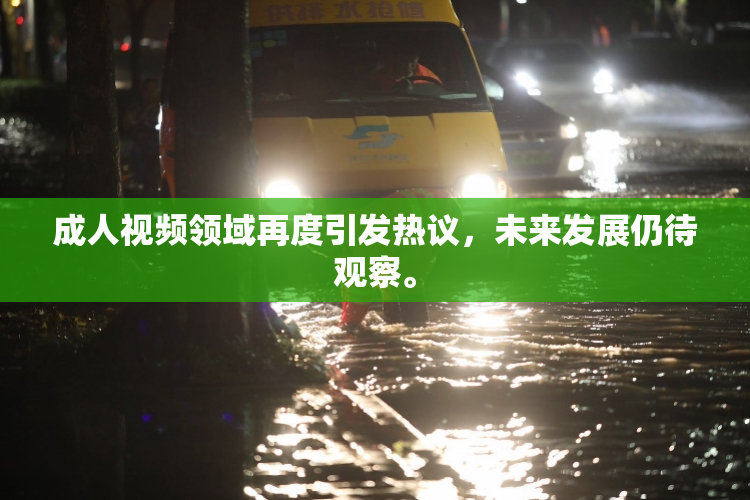 成人视频领域再度引发热议，未来发展仍待观察。