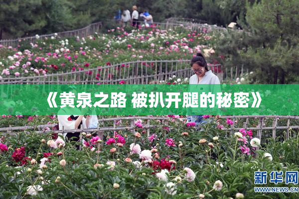 《黄泉之路 被扒开腿的秘密》