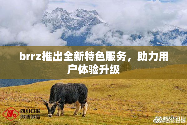 brrz推出全新特色服务，助力用户体验升级