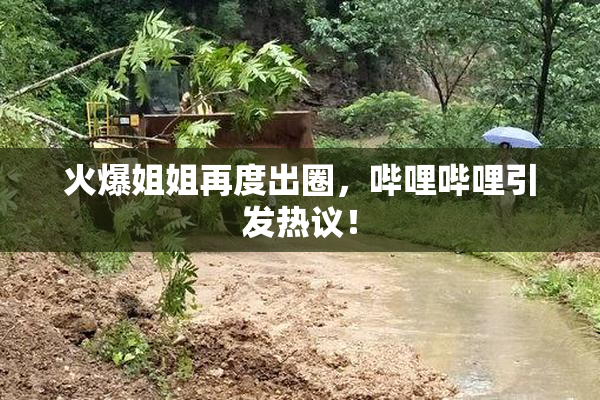 火爆姐姐再度出圈，哔哩哔哩引发热议！