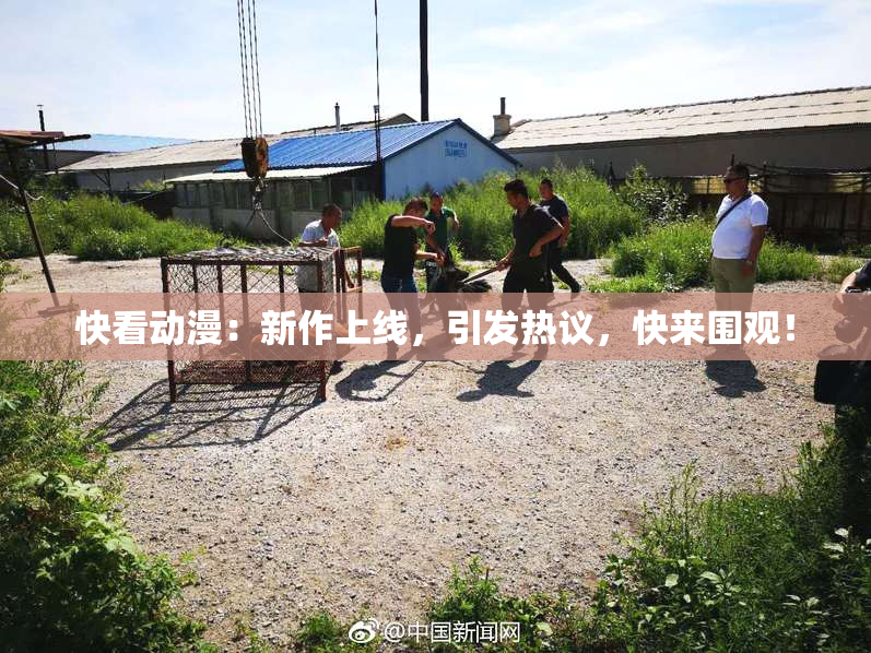 快看动漫：新作上线，引发热议，快来围观！