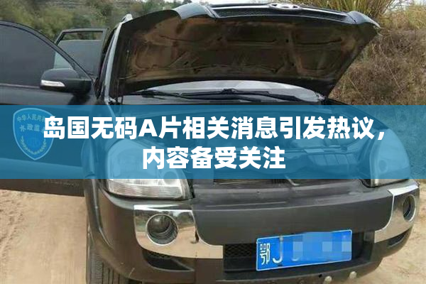 岛国无码A片相关消息引发热议，内容备受关注