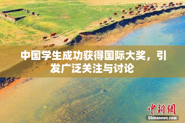中国学生成功获得国际大奖，引发广泛关注与讨论