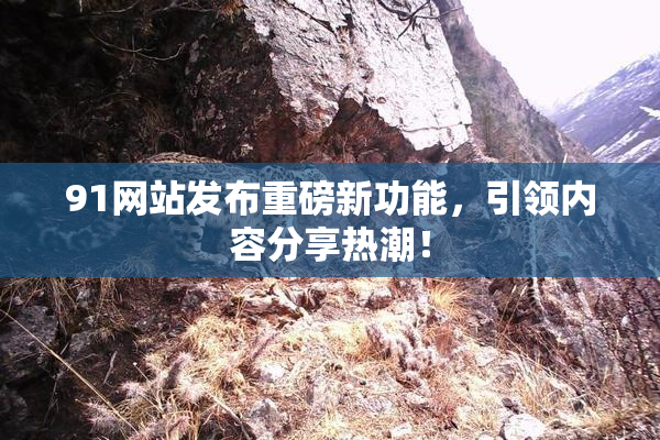 91网站发布重磅新功能，引领内容分享热潮！