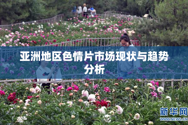 亚洲地区色情片市场现状与趋势分析