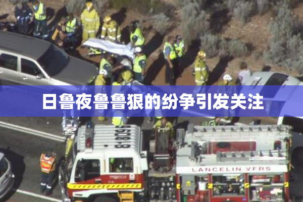 日鲁夜鲁鲁狠的纷争引发关注