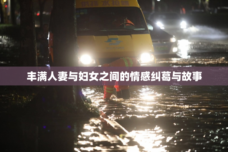 丰满人妻与妇女之间的情感纠葛与故事