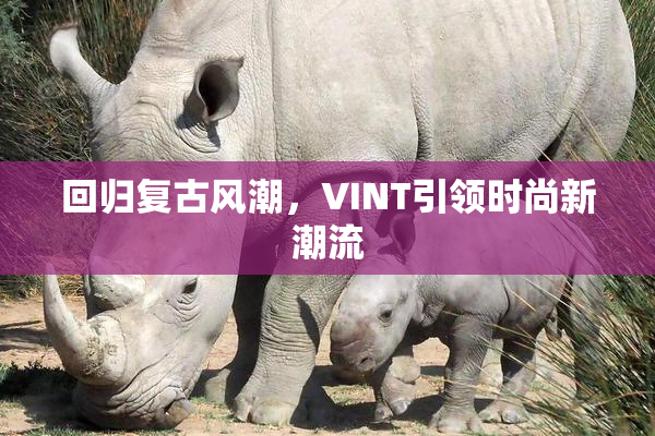 回归复古风潮，VINT引领时尚新潮流