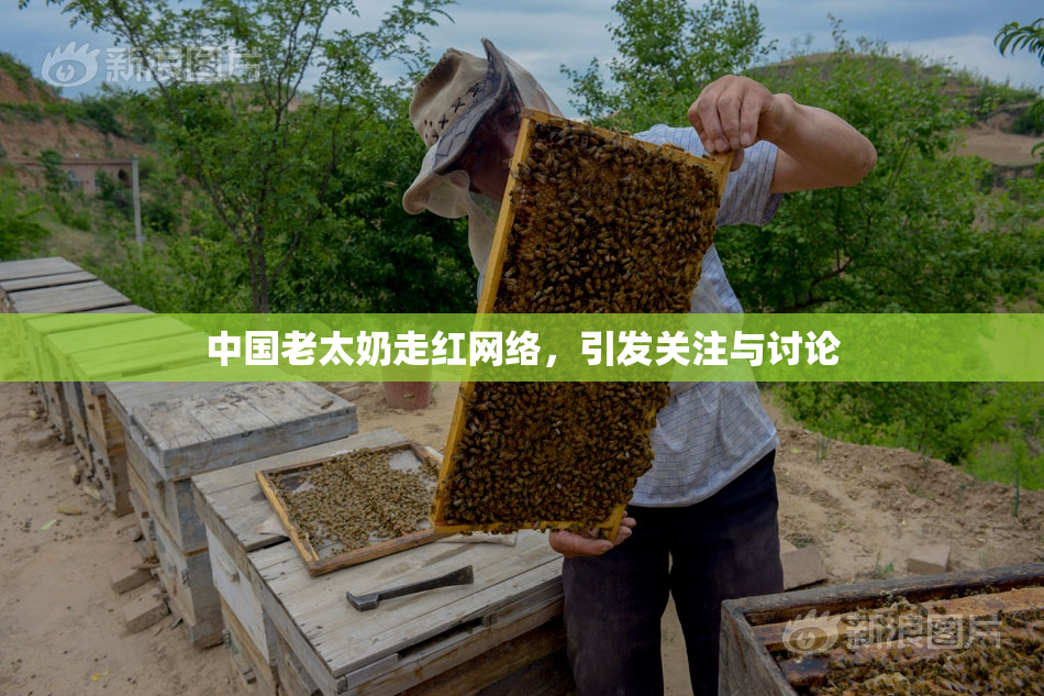 中国老太奶走红网络，引发关注与讨论