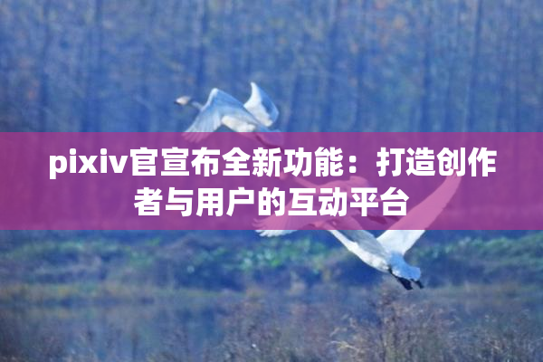 pixiv官宣布全新功能：打造创作者与用户的互动平台