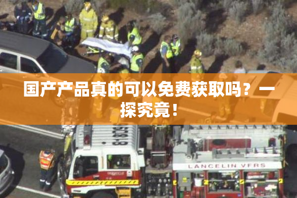 国产产品真的可以免费获取吗？一探究竟！