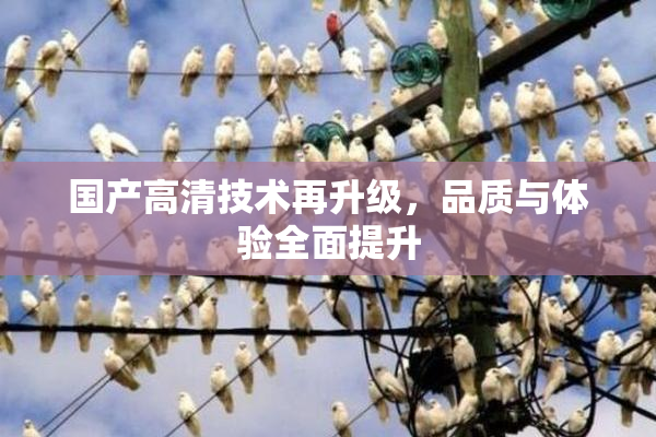 国产高清技术再升级，品质与体验全面提升