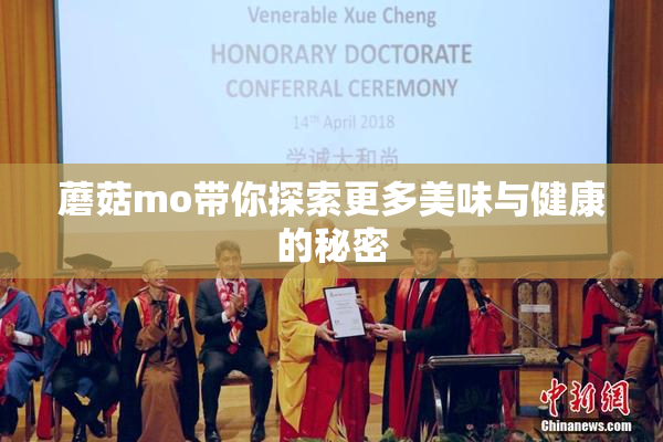 蘑菇mo带你探索更多美味与健康的秘密