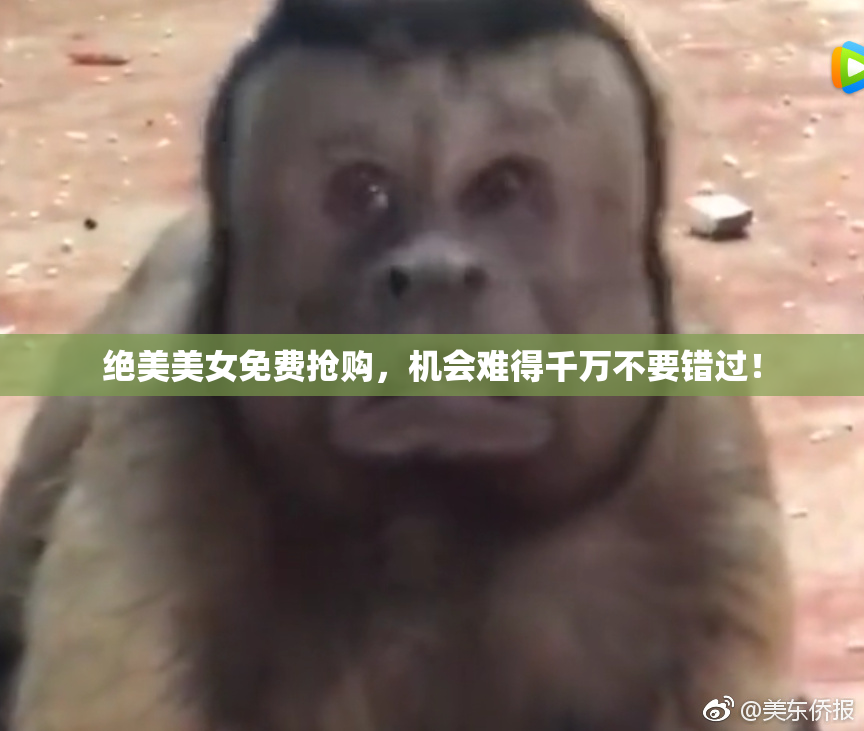 绝美美女免费抢购，机会难得千万不要错过！