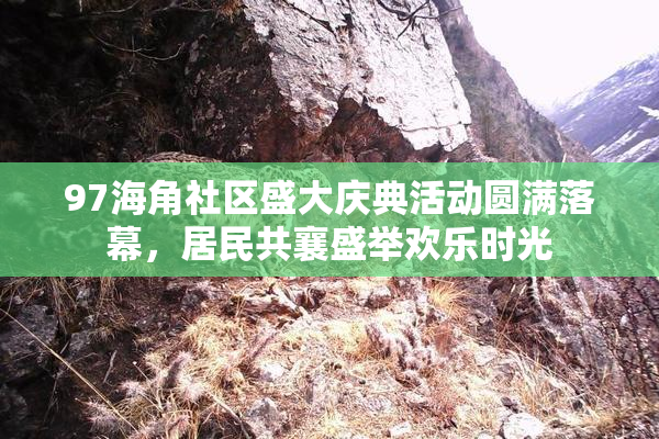 97海角社区盛大庆典活动圆满落幕，居民共襄盛举欢乐时光