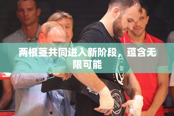 两根茎共同进入新阶段，蕴含无限可能