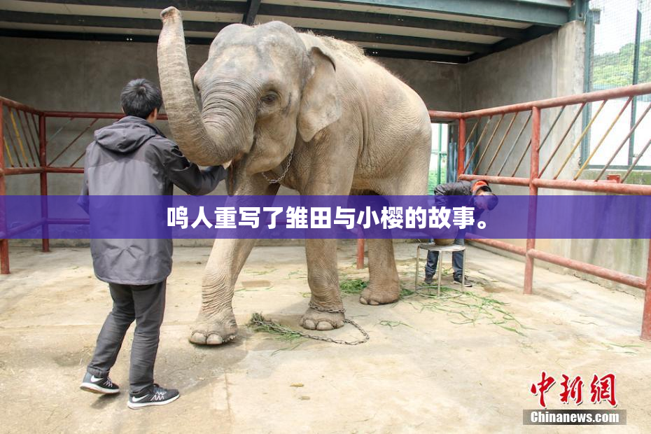鸣人重写了雏田与小樱的故事。