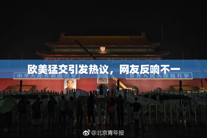 欧美猛交引发热议，网友反响不一