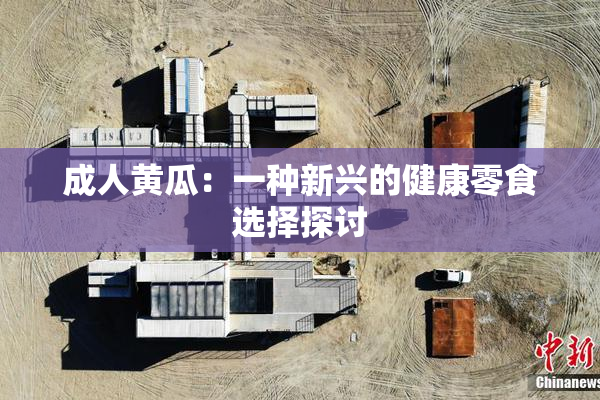 成人黄瓜：一种新兴的健康零食选择探讨