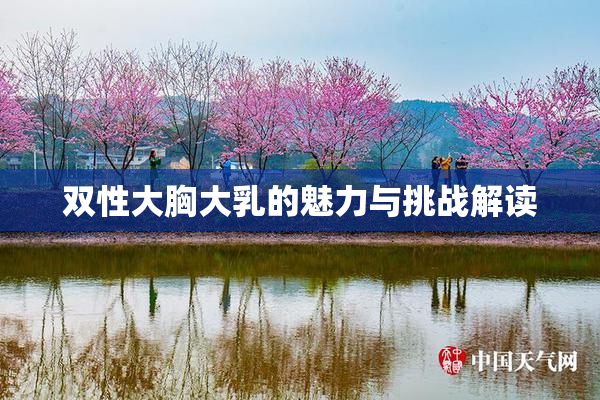 双性大胸大乳的魅力与挑战解读