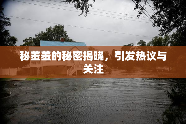 秘羞羞的秘密揭晓，引发热议与关注