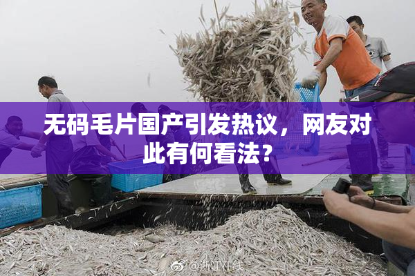 无码毛片国产引发热议，网友对此有何看法？