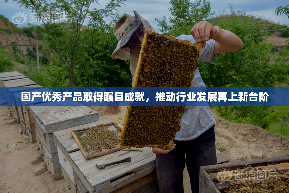 国产优秀产品取得瞩目成就，推动行业发展再上新台阶
