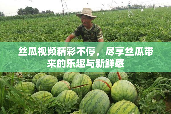 丝瓜视频精彩不停，尽享丝瓜带来的乐趣与新鲜感