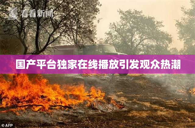国产平台独家在线播放引发观众热潮