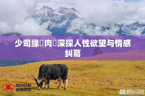少司缘婬肉泬深探人性欲望与情感纠葛