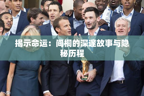 揭示命运：间桐的深邃故事与隐秘历程