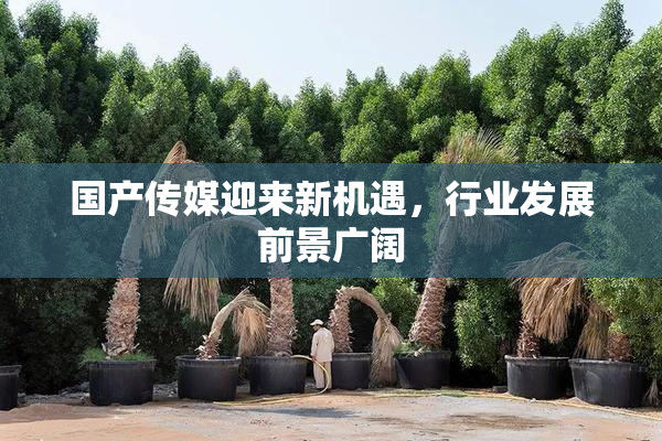 国产传媒迎来新机遇，行业发展前景广阔