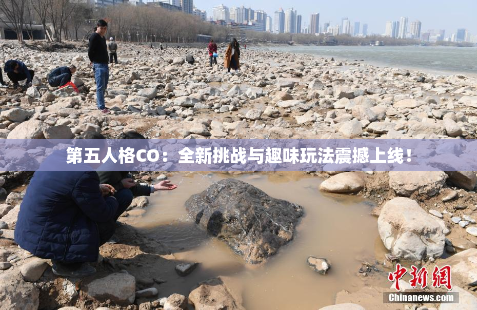 第五人格CO：全新挑战与趣味玩法震撼上线！