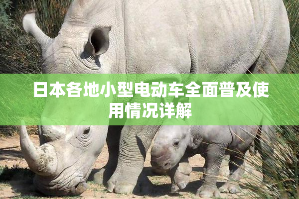 日本各地小型电动车全面普及使用情况详解