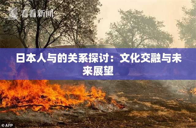 日本人与的关系探讨：文化交融与未来展望