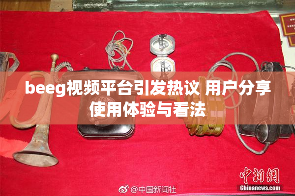 beeg视频平台引发热议 用户分享使用体验与看法