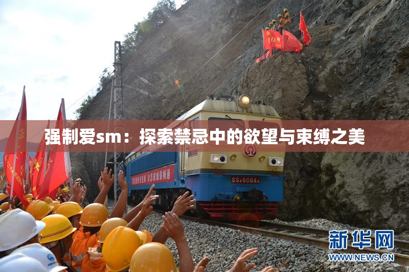 强制爱sm：探索禁忌中的欲望与束缚之美