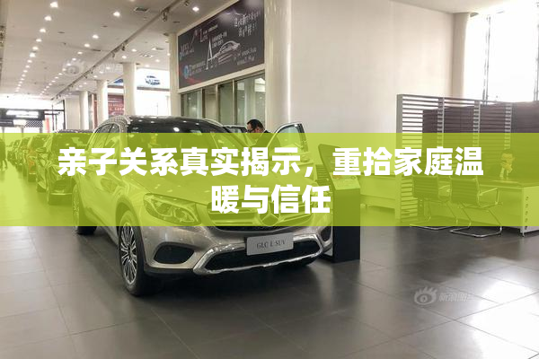 亲子关系真实揭示，重拾家庭温暖与信任
