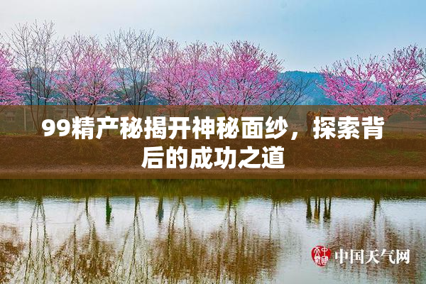 99精产秘揭开神秘面纱，探索背后的成功之道
