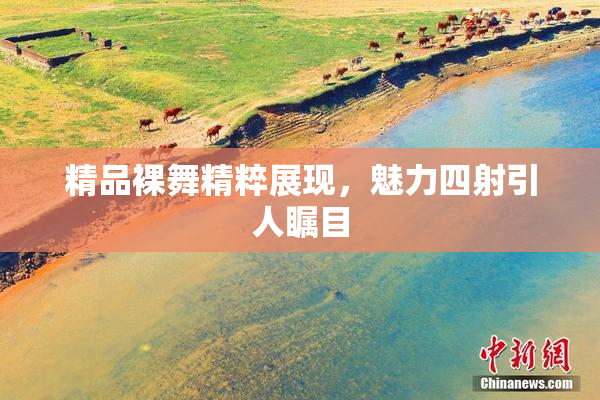 精品裸舞精粹展现，魅力四射引人瞩目