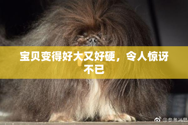 宝贝变得好大又好硬，令人惊讶不已
