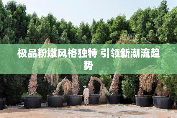 极品粉嫩风格独特 引领新潮流趋势