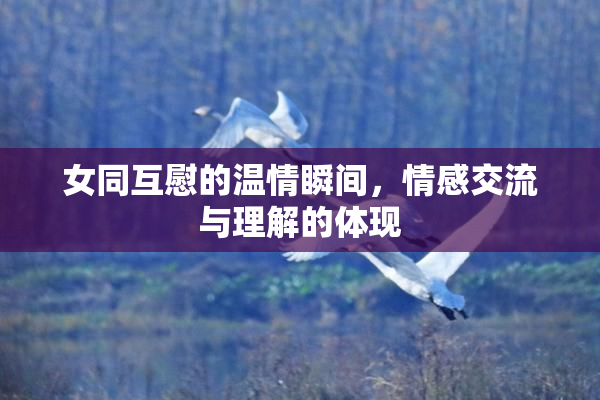 女同互慰的温情瞬间，情感交流与理解的体现