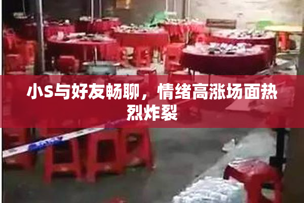 小S与好友畅聊，情绪高涨场面热烈炸裂