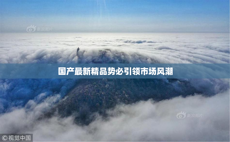 国产最新精品势必引领市场风潮