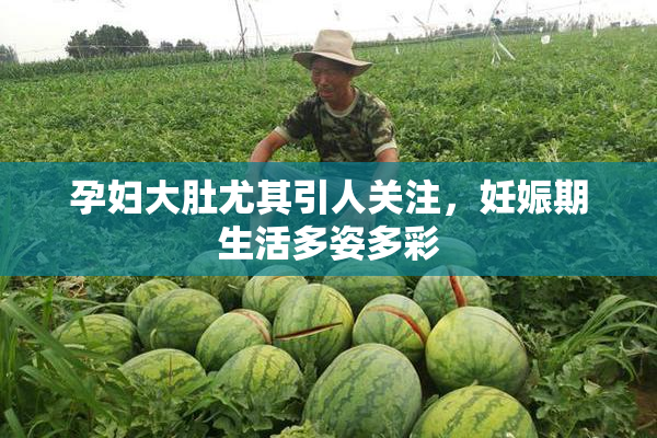 孕妇大肚尤其引人关注，妊娠期生活多姿多彩