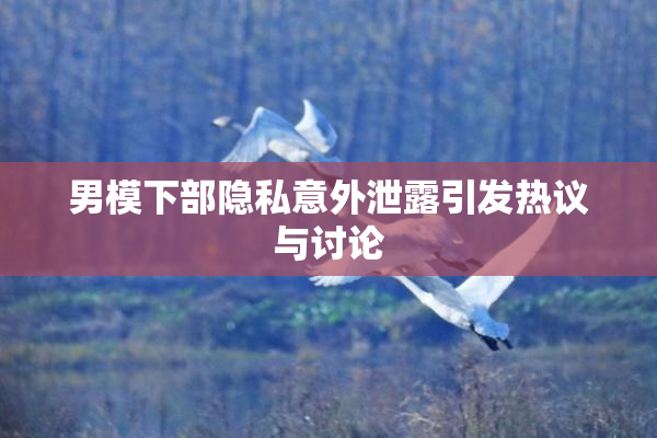 男模下部隐私意外泄露引发热议与讨论