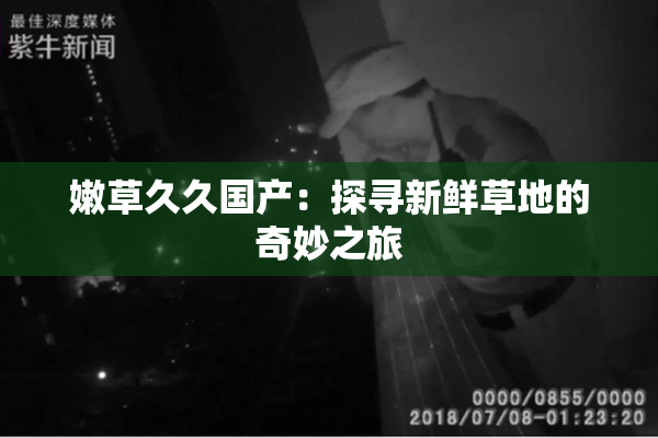 嫩草久久国产：探寻新鲜草地的奇妙之旅
